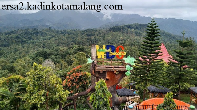 Pesona Alam Bukit Gandrung Tanggulasi Tempat Ideal Liburan