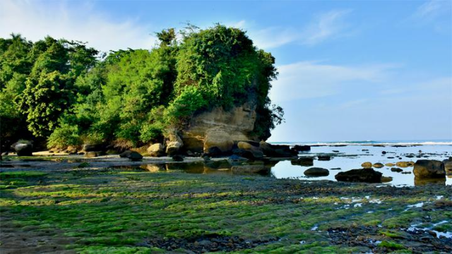 Daya Tarik di Pantai Ranca Buaya Garut di Mata Wisatawan