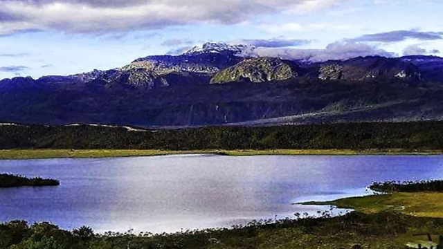 Danau Habema: Pesona Tersembunyi di Pegunungan Papua